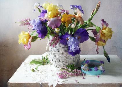 Marina Filatova，餐桌，餐巾，篮子，鲜花，鸢尾花，羽扇豆