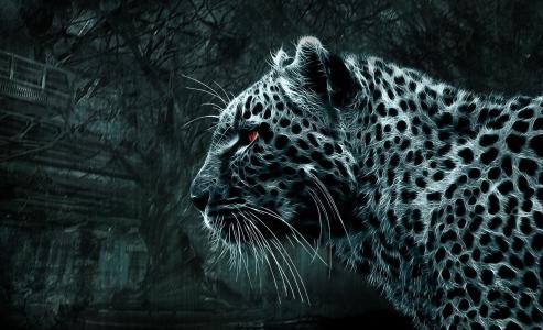 豹，3D，猫，黑暗的背景，美丽，幻想，捕食者
