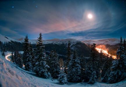 美国，科罗拉多州，冬季，灯光，照明，森林，树木，月亮，天空，美女