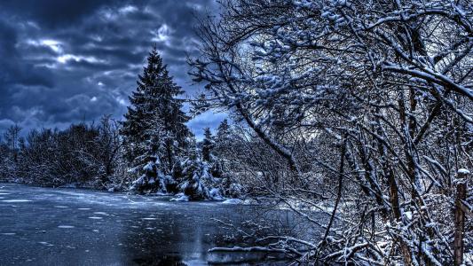 冬天，树，河，冰