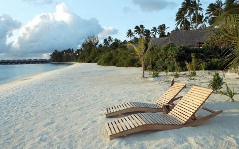 白色的沙滩，日光浴浴床，棕榈树