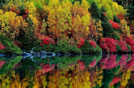 秋天，河，森林，自然，山，美丽，反思