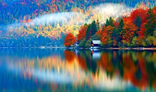 自然，秋季，山，湖，雾，早上，美丽，水，反射