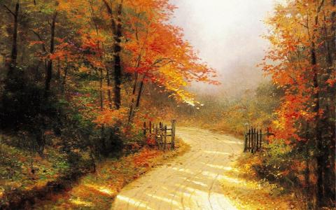 秋天，森林，道路