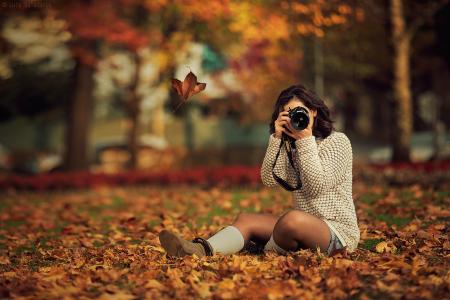 女孩，拍照，叶，叶子，秋天