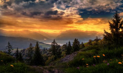 瑞士，山，谷，草，花，树，房子，天空，云，日落，发光，处理