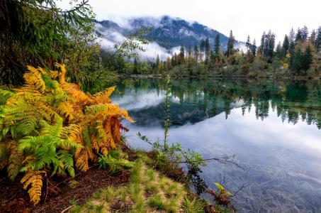 湖，山，森林，树木，山，雾，光滑，美丽