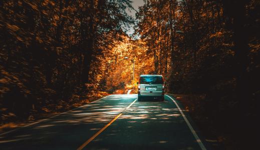 汽车，道路，树木，秋天