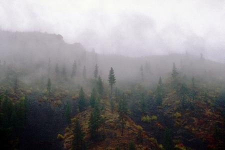雾，树木繁茂的山丘，阴沉的早晨