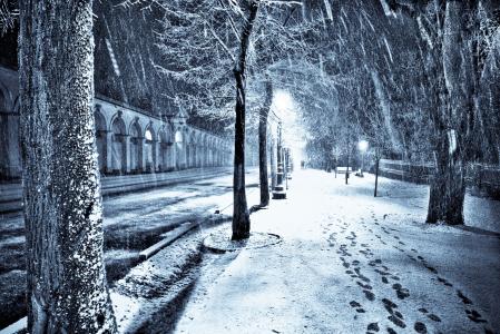 街，冬天，雪，照片，晚上，路，大道，灯