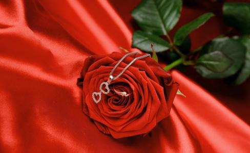 浪漫，爱，玫瑰，花，戒指，红色