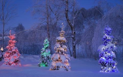 性质，冬季，晚上，新的一年，雪，美丽