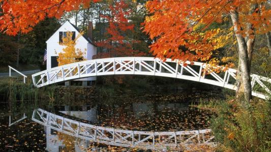 桥，在森林里的房子，湖，红黄色的叶子