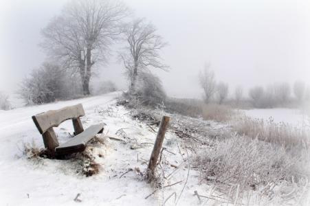 雾，冬天，雪，长凳