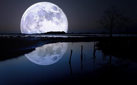 月亮，河，反思，树，夜，星级，天空