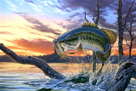 300 dpi -RGB自然艺术绘画美国鲈鱼钓鱼湖泊钓鱼线钓鱼钩诱饵转盘跳汰机飞溅日落天空云彩