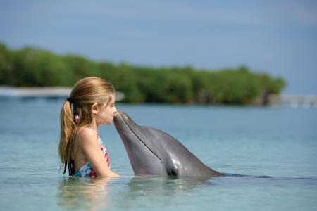 巴哈马，女孩，海豚，孩子，海洋，天堂岛，友谊