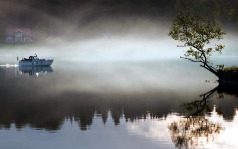 船，树，雾，湖，早上