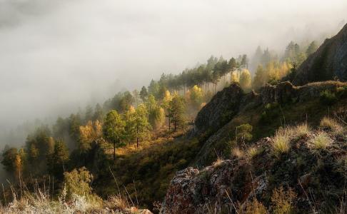 山，森林，雾，Torgashinsky山脊，Bazaiha河的山坡，Marina Fomina