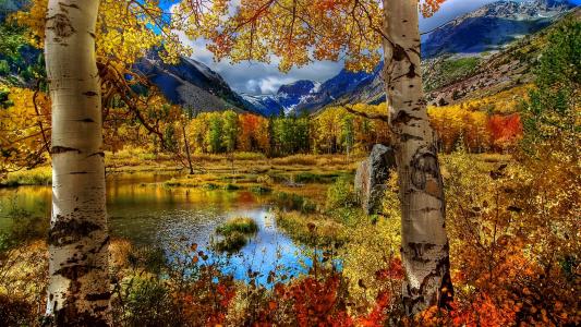 秋天，性质，森林，山，美丽，池塘