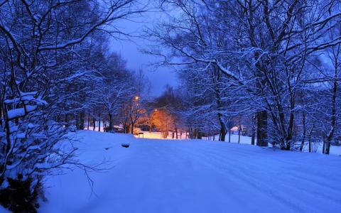 冬天，雪，晚上，美丽