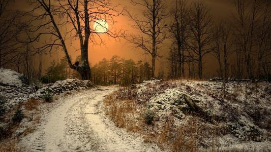 令人敬畏的日落，冬季，大自然，雾