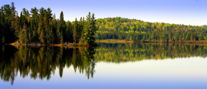 湖，森林，天空，美丽，光滑，大幅面，反思
