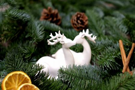 假期，圣诞节，新的一年，分支机构，云杉，枞树，小雕像，鹿，锥体，香料，肉桂