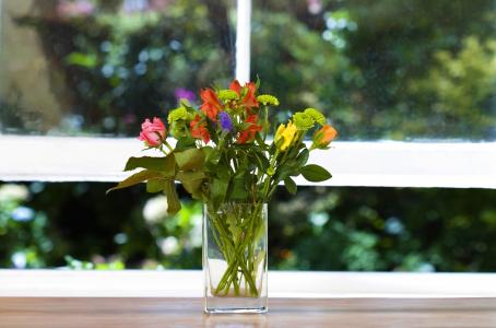 绿色，鲜花，花束，窗台，窗口，花瓶