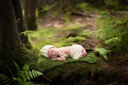 安妮莉玫瑰，宝贝，宝贝，宝贝，梦想，帽子，内裤，毯子，森林，树木，苔藓，蕨