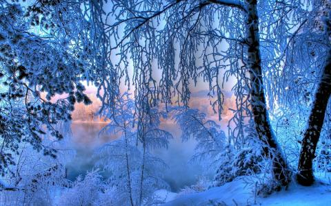 冬天，雪，冰，水，河，树