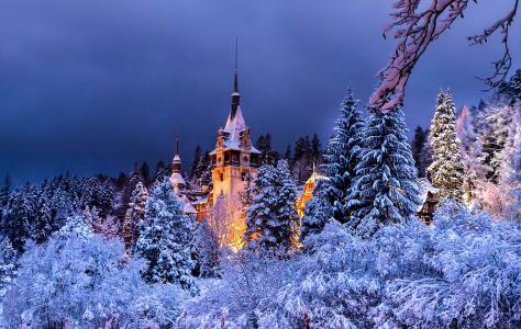 罗马尼亚，城市，锡纳亚，城堡，派勒斯，冬季，夜晚，森林