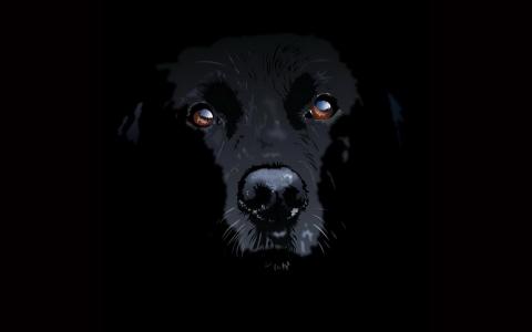 黑狗，美丽的眼睛，大嘴