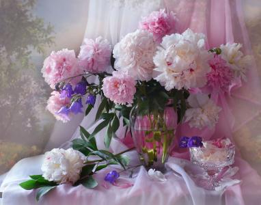 瓦伦蒂娜Kolova，花瓶，花，牡丹，钟声，布，面纱