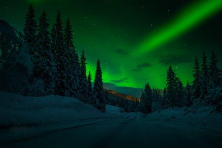 冬天，路，晚上，天空，雪，树，自然，北极光，阿德南Bubalo