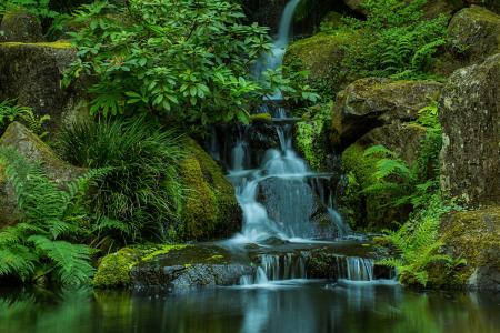 日本花园，华盛顿公园，俄勒冈州波特兰瀑布