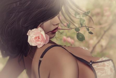 3D，图形，女孩，花，玫瑰，胸罩