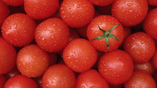 西红柿，西红柿，纯净，美味，红色，吃