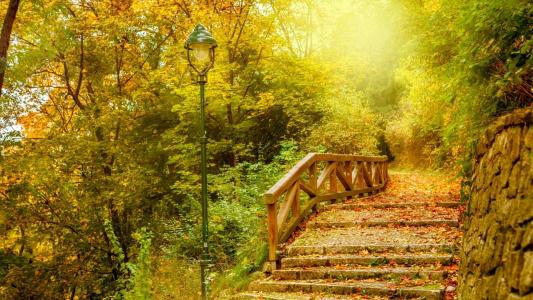 荒凉的公园，楼梯，散落着叶子，阴天秋季的一天