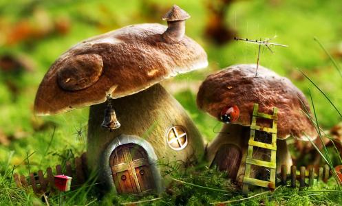 童话房屋，童话故事，小屋，蘑菇