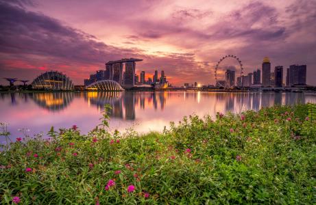 新加坡，新加坡，城市，建筑物，房屋，鲜花，晚上，日落