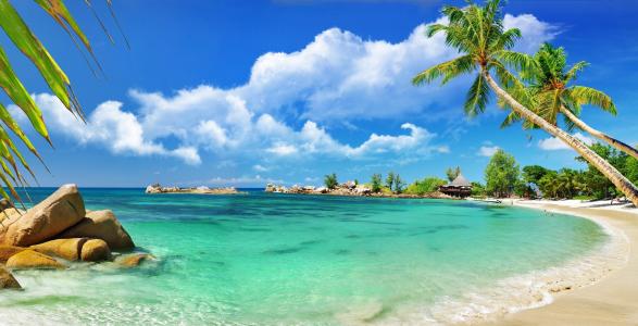 塞舌尔，岛，度假，热带，印度，海洋，手掌，海滩，夏天，自然，美丽，游客，石头，天空，云，塞舌尔