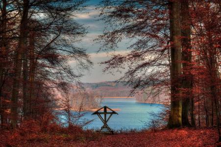 秋天，树木，湖，美女，全景图