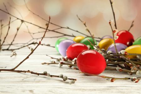 鸡蛋，复活节彩蛋，柳树