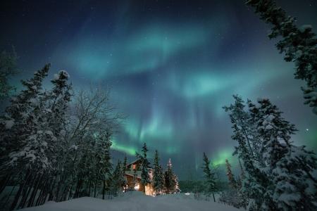 加拿大，自然，景观，雪，冬天，树木，冷杉，山寨，夜晚，光辉