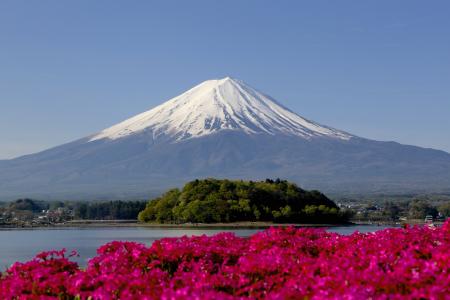 日本富士山，岛，山，火山，鲜花，天空，森林，树木，雪，高峰