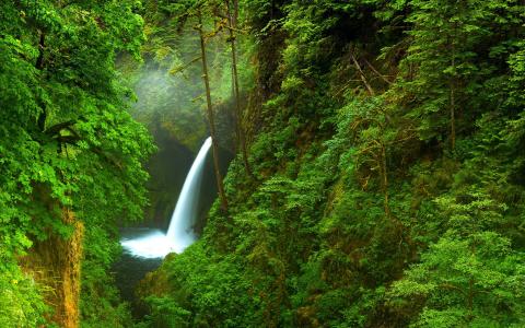 性质，瀑布，森林，绿色背景，超级照片，山