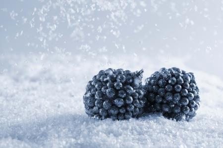 玩具的浆果形式，走雪的背景