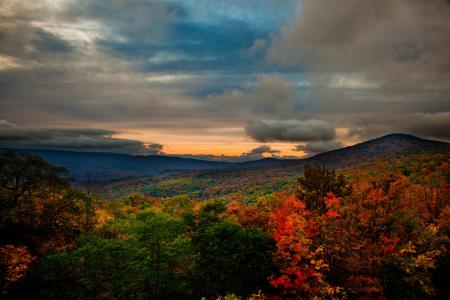 丘陵，大自然，森林，秋天，美丽