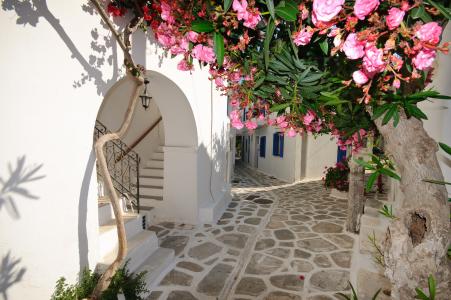 圣托里尼，希腊，鲜花，房子